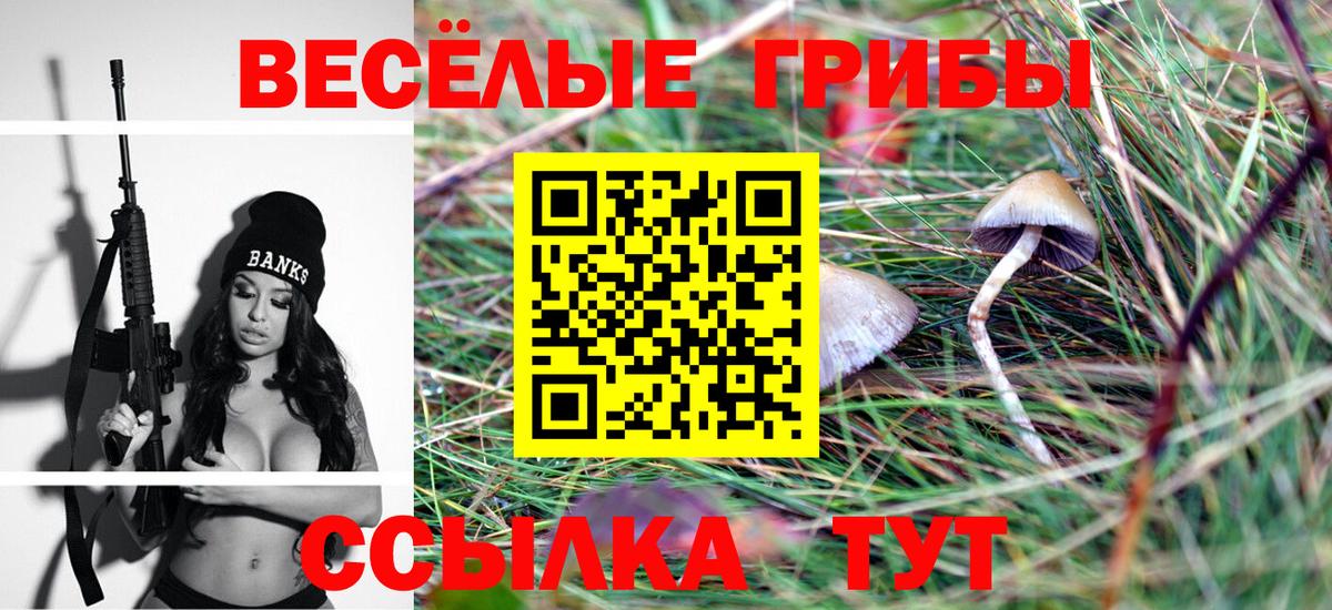 Бузулук  Галлюциногенные грибы MAGIC MUSHROOMS  Вход с VPN 
