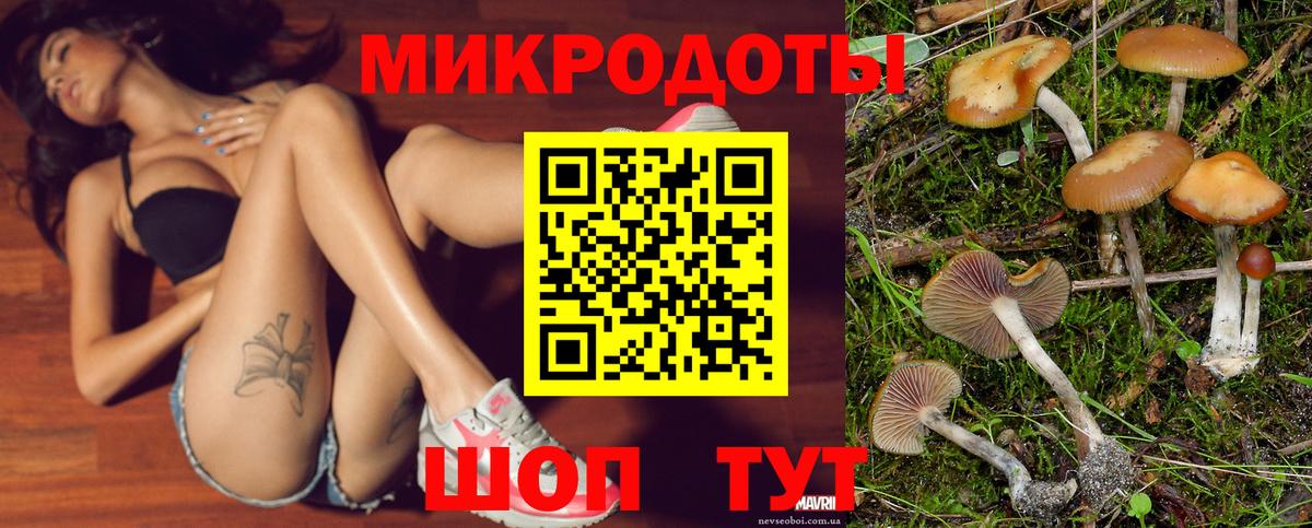 Псилоцибиновые грибы прущие грибы Бузулук